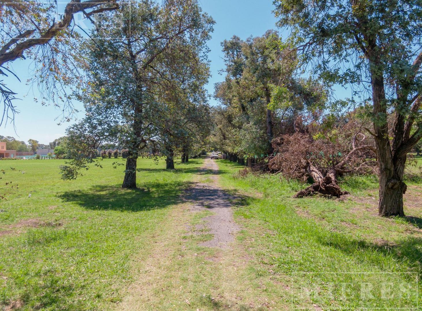 Foto de Casa en venta en Casuarinas del Pilar, imagen 3