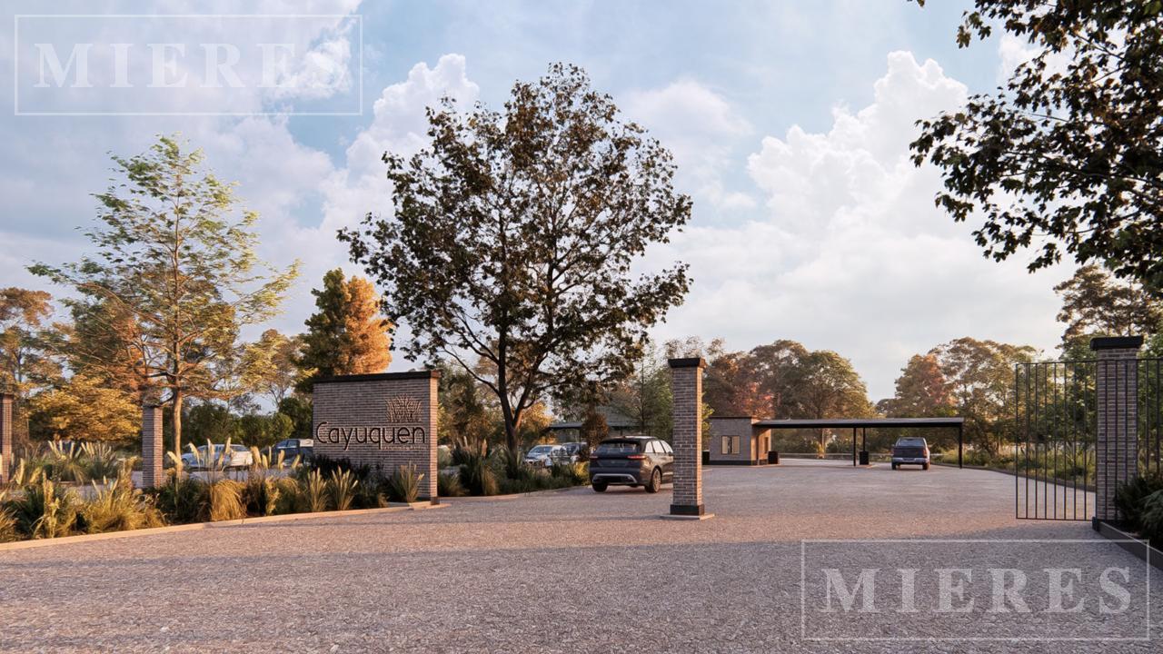 Foto de Lote "Criollo" de 5.300m2 en venta en Cayuquen, imagen 2