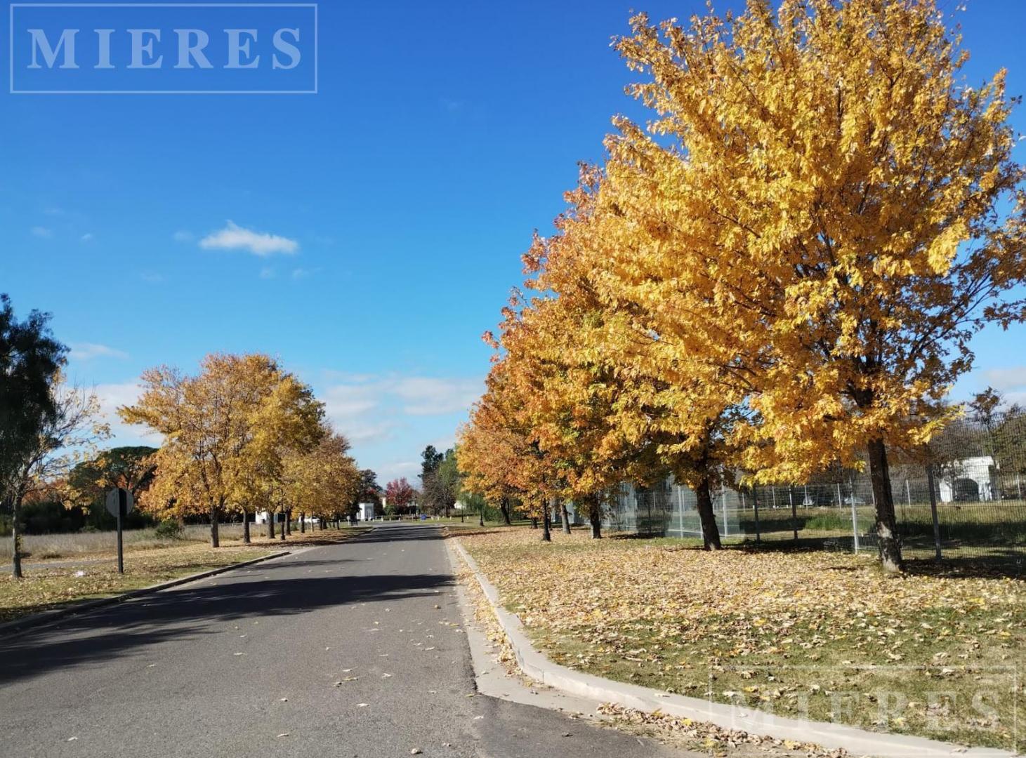Foto de Lote de 1262m² en venta en Los Ombues, Estancias del Pilar, imagen 1