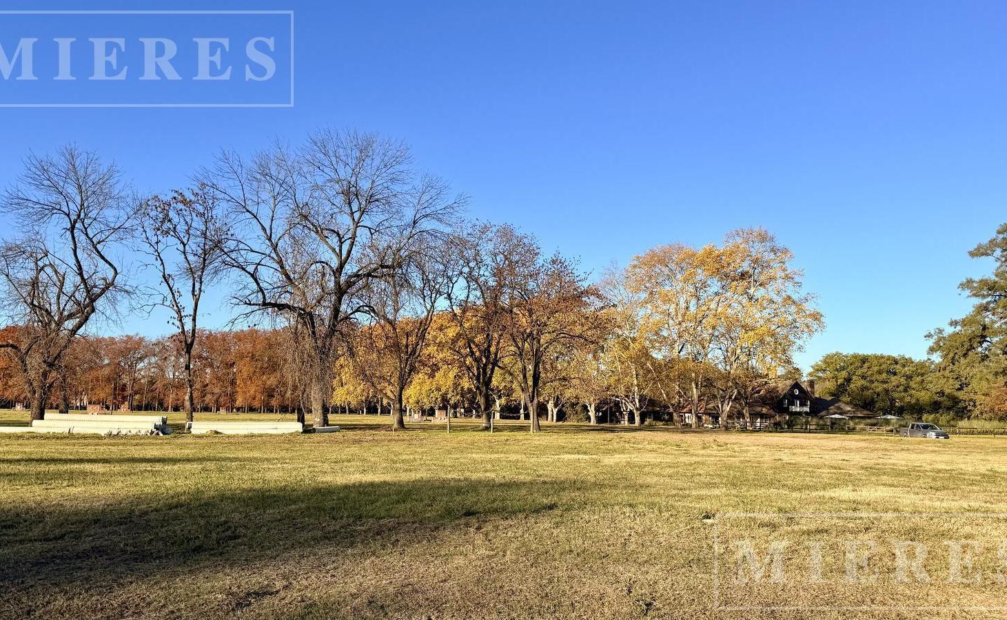 Foto de Lote de 823m² en venta en Almahue, imagen 4