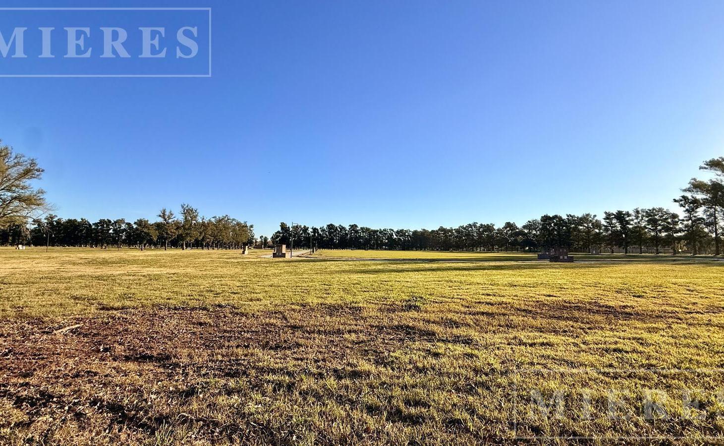Foto de Lote de 823m² en venta en Almahue, imagen 5