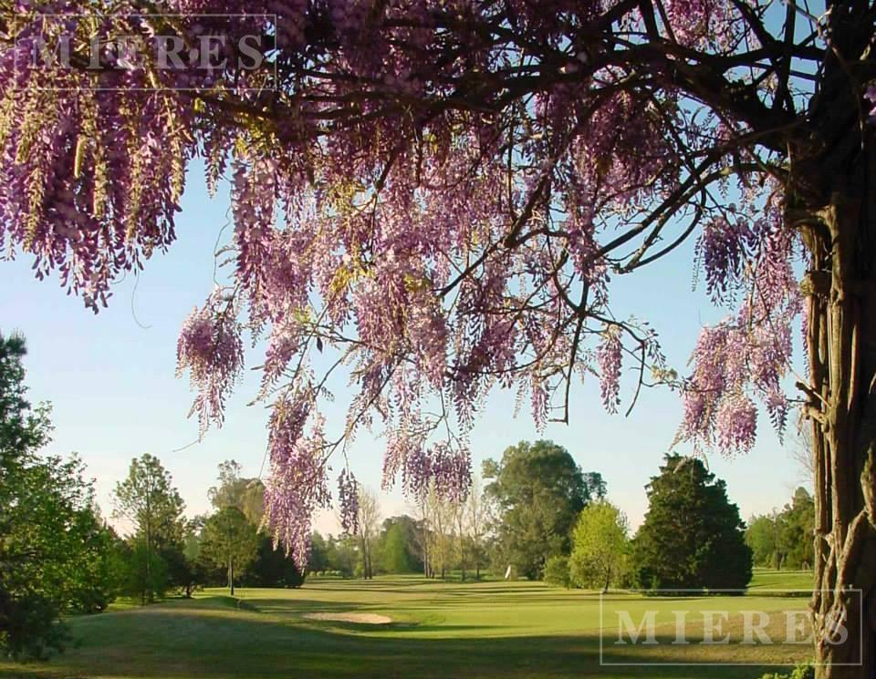 Foto de Lote de 1000m² en venta en Highland Park, imagen 5