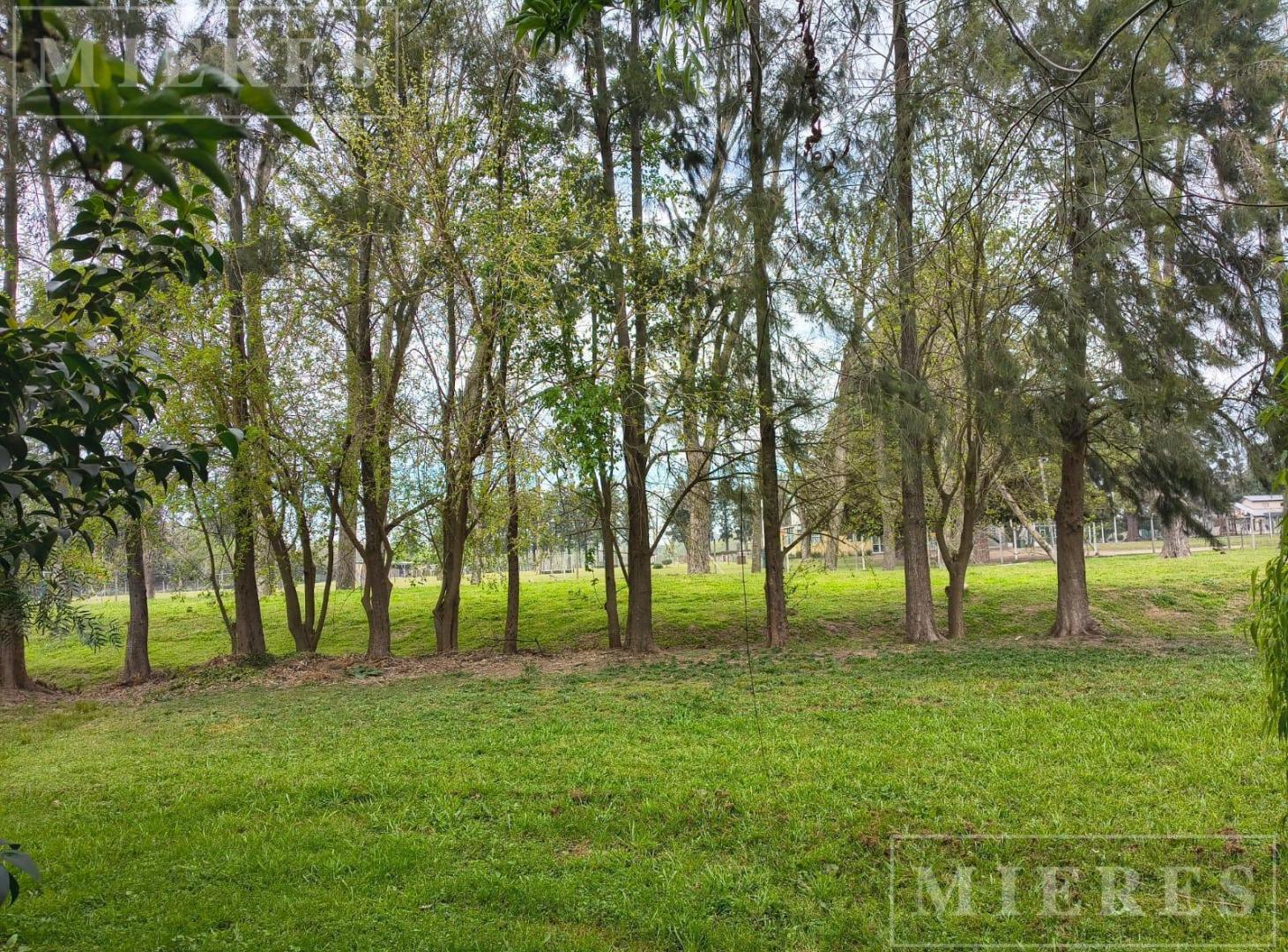 Foto de Casa en venta en Haras Santa Maria Barrio Las Caballerizas, imagen 3
