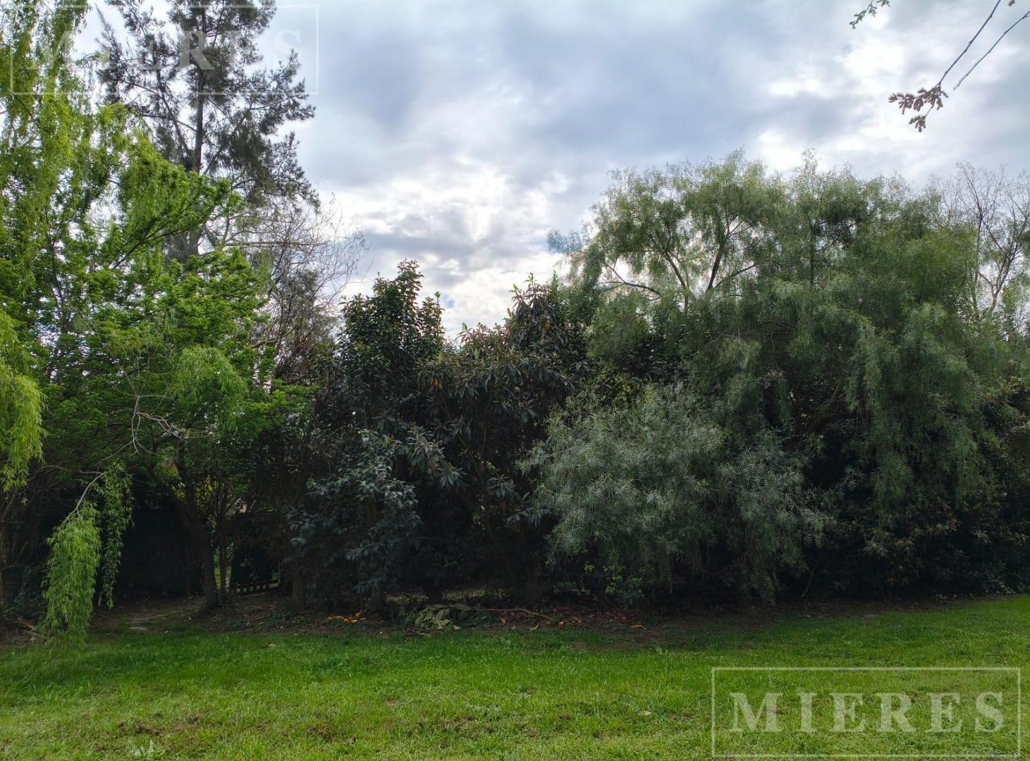 Foto de Casa en venta en Haras Santa Maria Barrio Las Caballerizas, imagen 4
