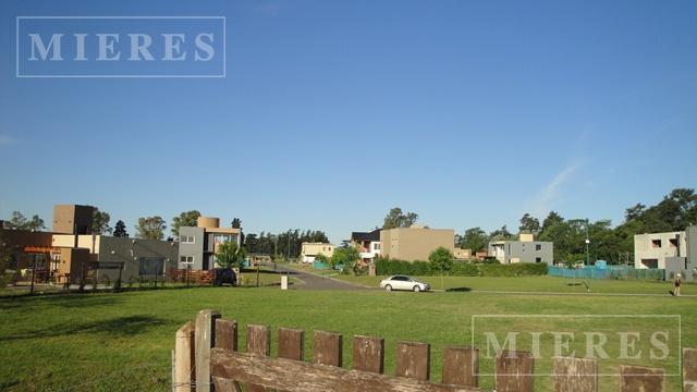 Foto de Terreno en Los Olivares, imagen 3