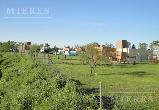 Foto de Terreno en Los Olivares, imagen 5