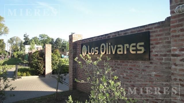 Foto de Terreno en Los Olivares, imagen 1