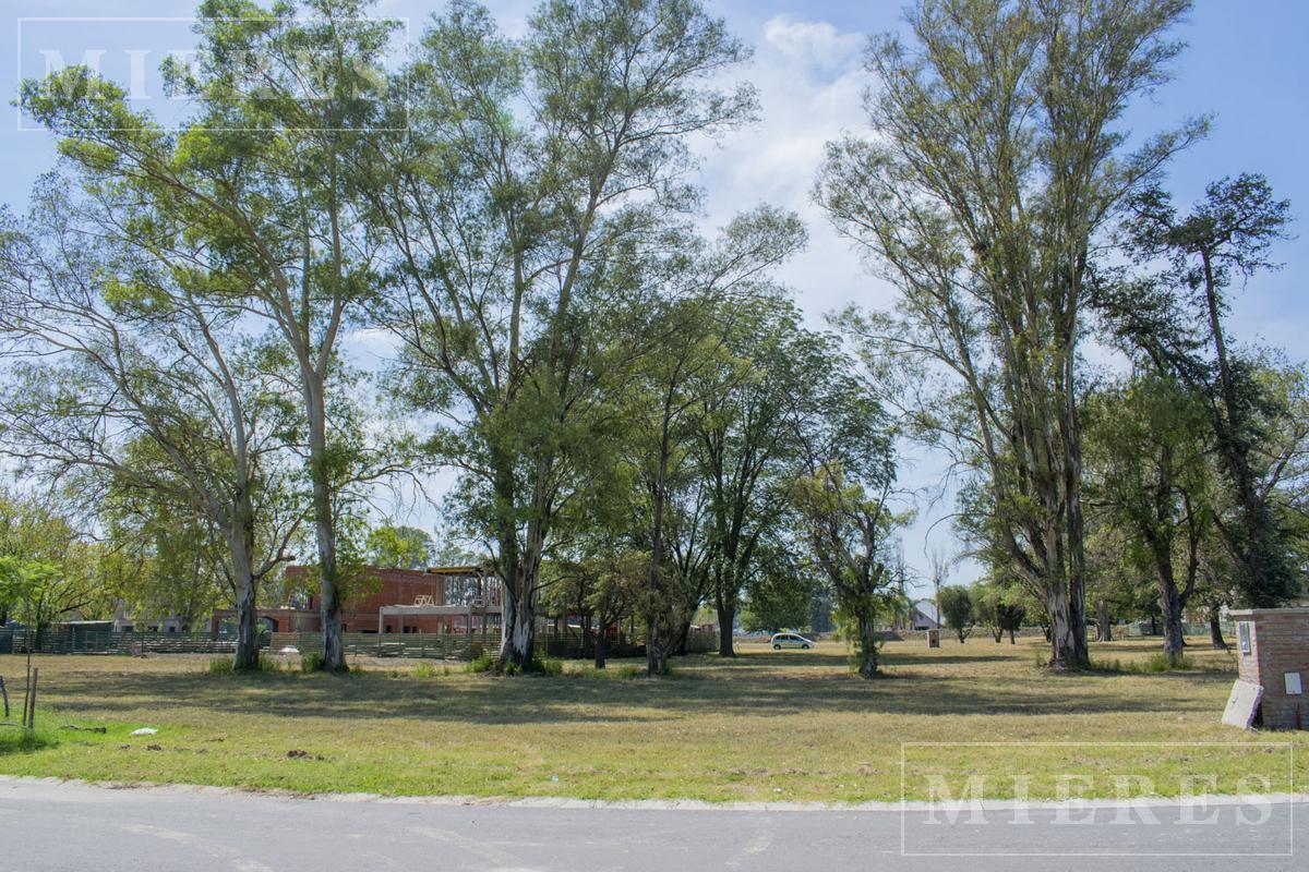 Foto de Lote de 1043m² a la laguna en venta en Azzurra Tortugas, imagen 5