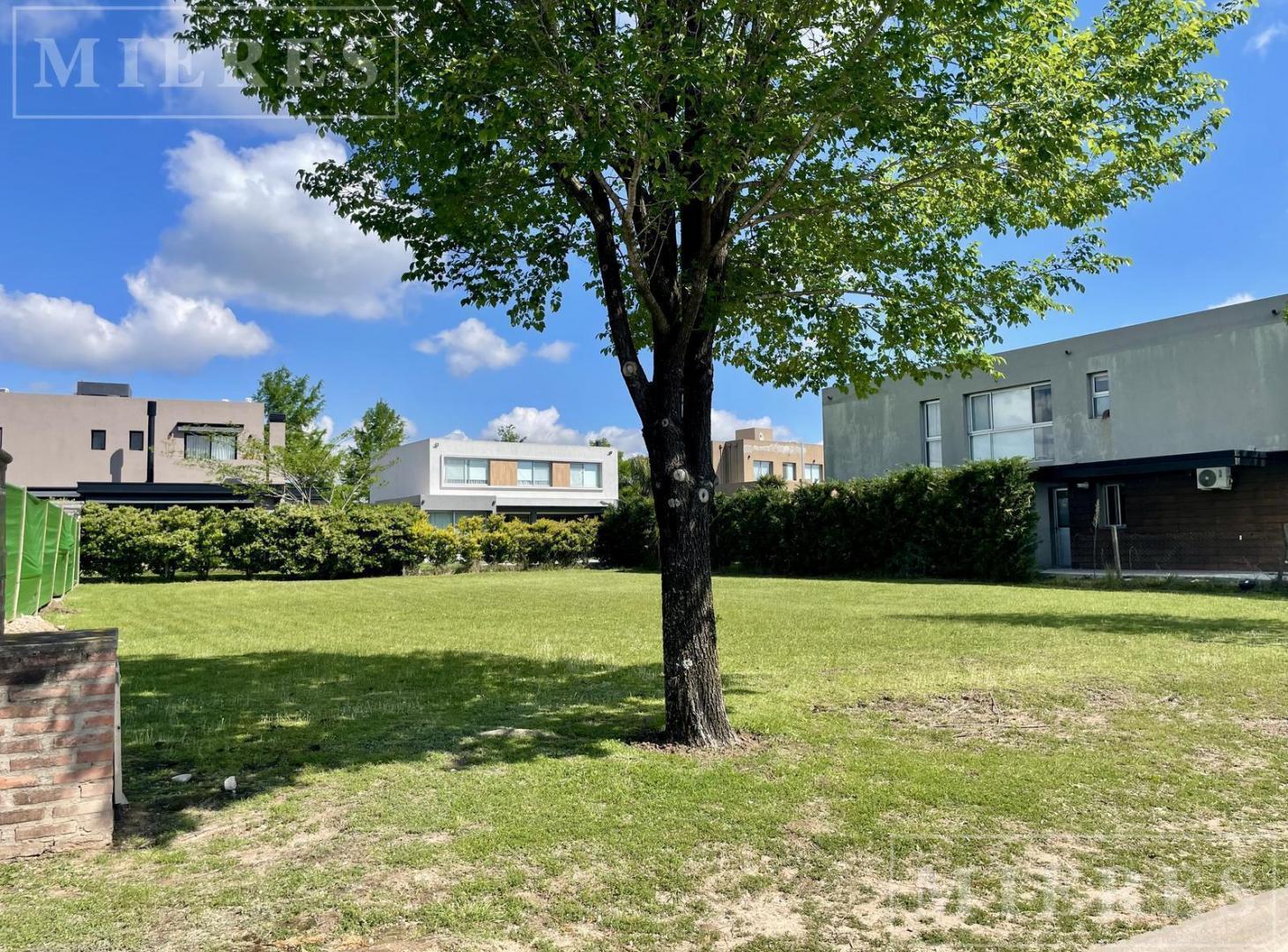 Foto de Lote de 600m² en venta en Ayres Plaza, imagen 4