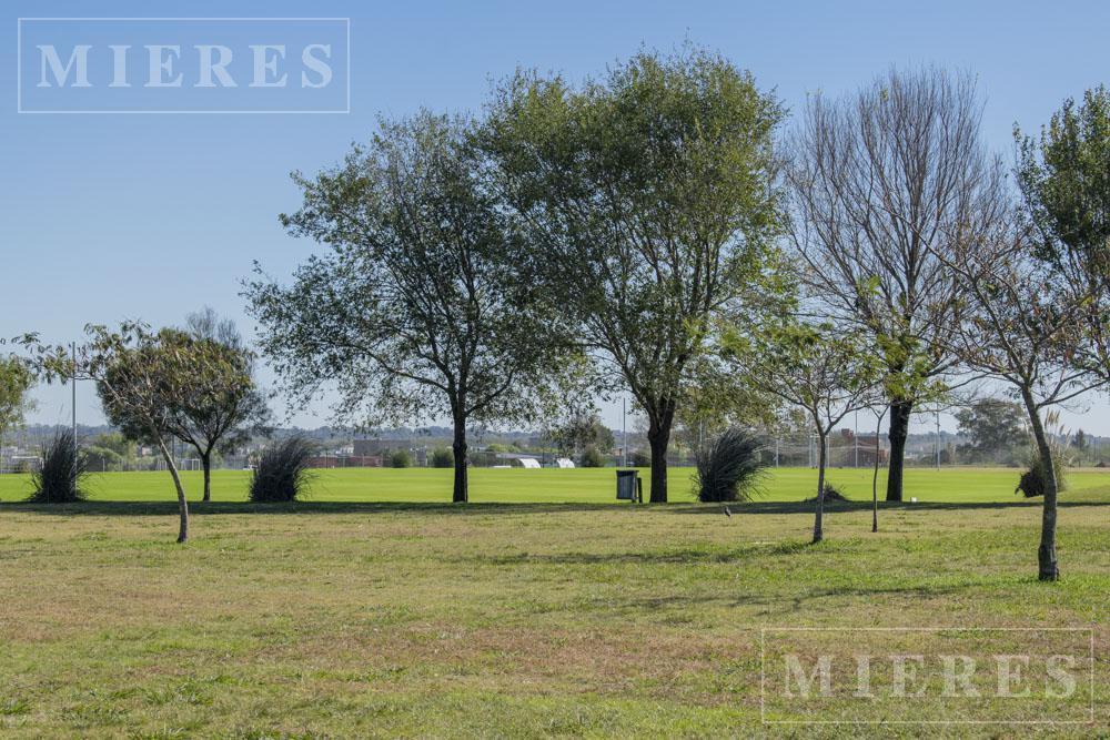 Foto de Lote interno en venta en Area 12 Barrio San Sebastián, Loma Verde, imagen 3