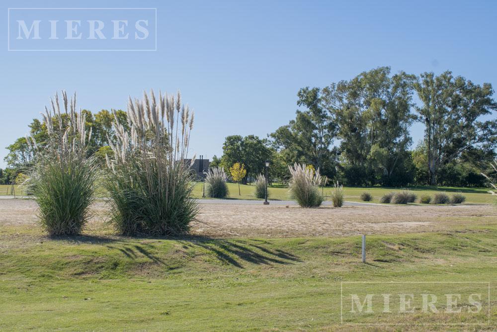 Foto de Lote interno en venta en Area 12 Barrio San Sebastián, Loma Verde, imagen 4