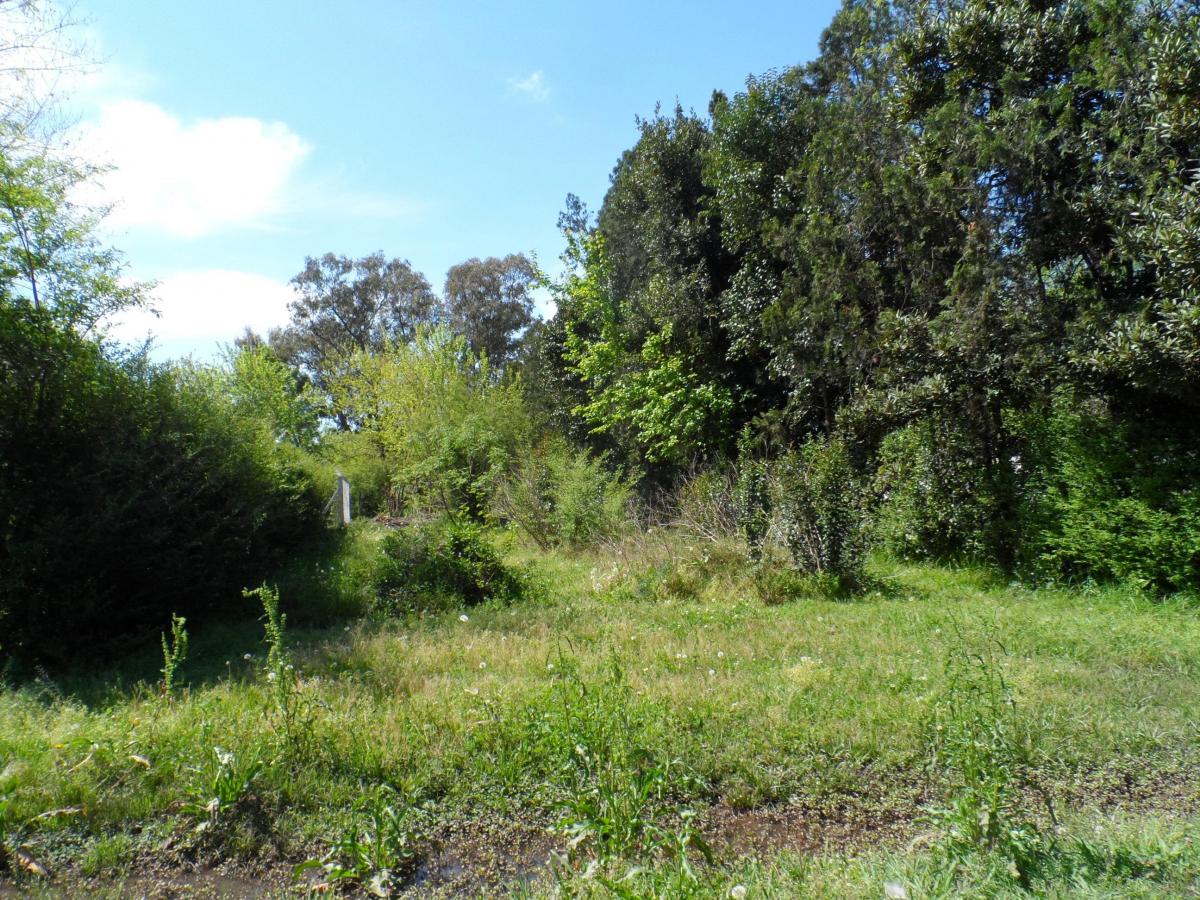 PILAR Del Viso B°Los Jazmines LOTE 400m2 Residencial Cqtas ideal Vvir U$S 32.000