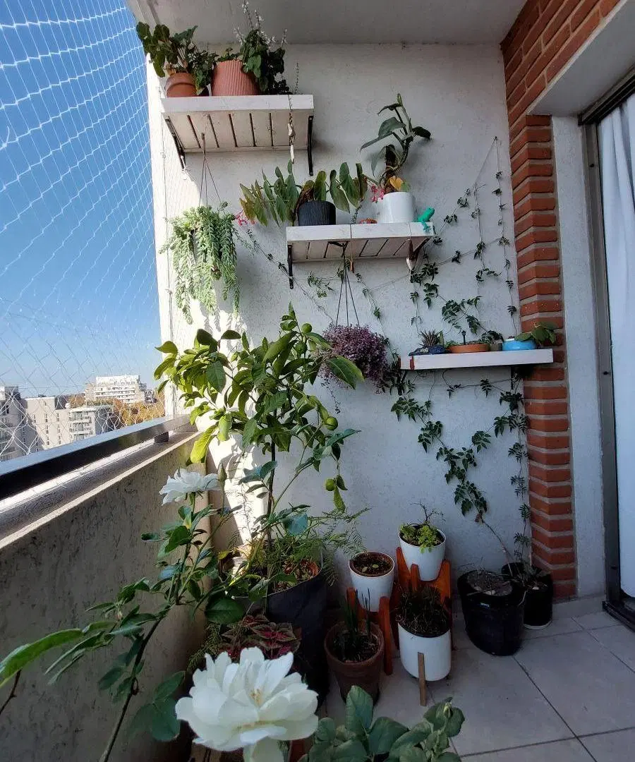 Departamento 2 dormitorios doble cochera en venta en Distrito Tigre Sur 4