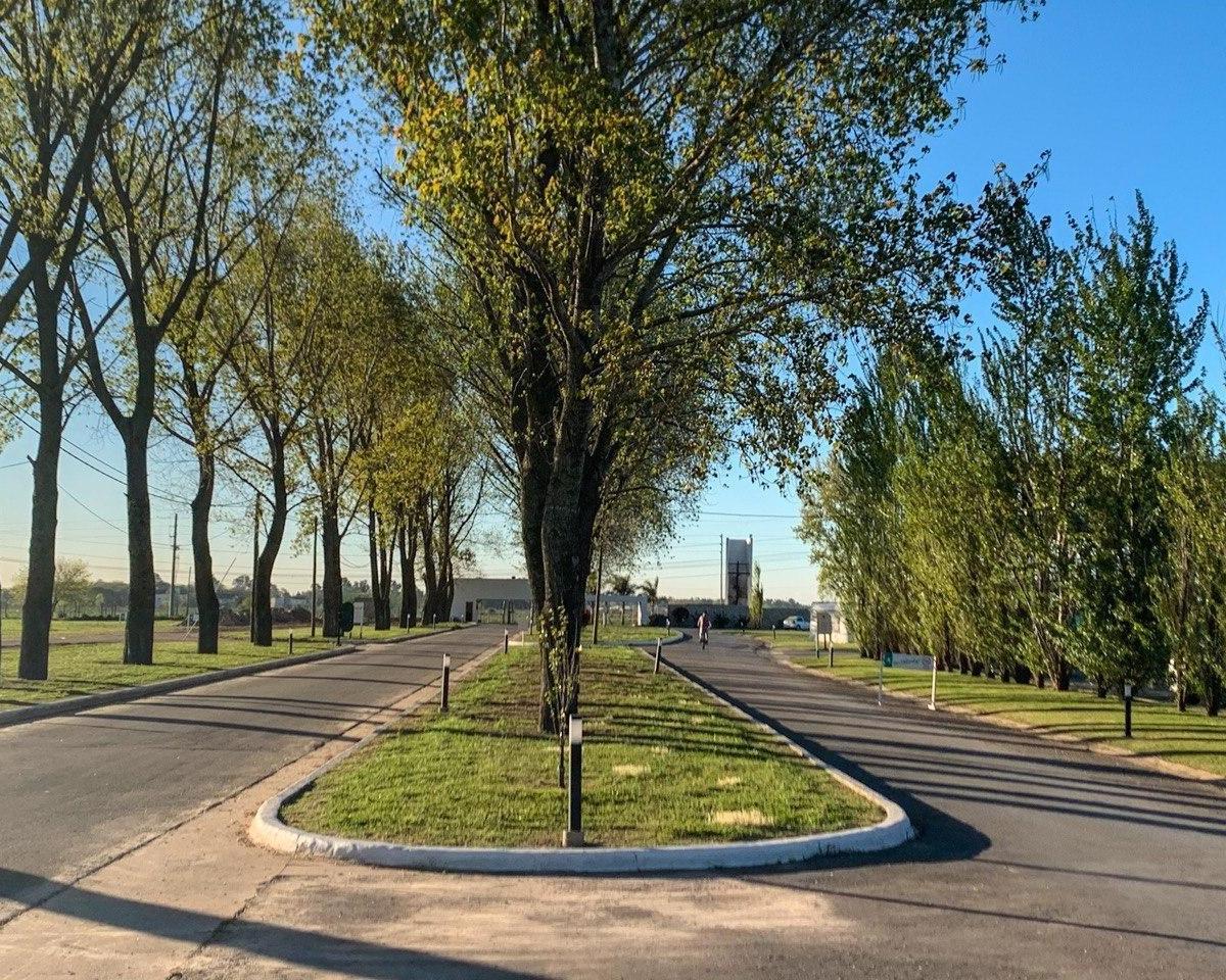Lote de 797 m2 En Venta en La Alameda Barrio Privado, Canning, Ezeiza