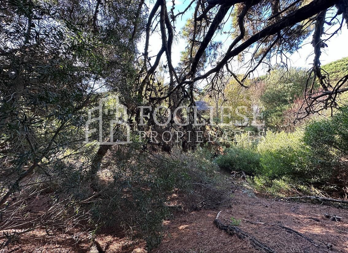 Lote en Venta Mar de Las Pampas de 450 m² 1