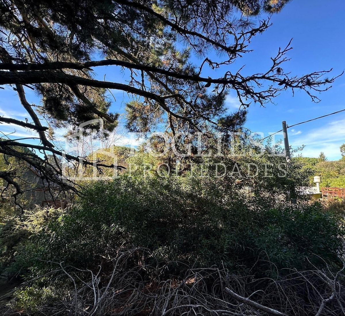 Lote en Venta Mar de Las Pampas de 450 m² 2