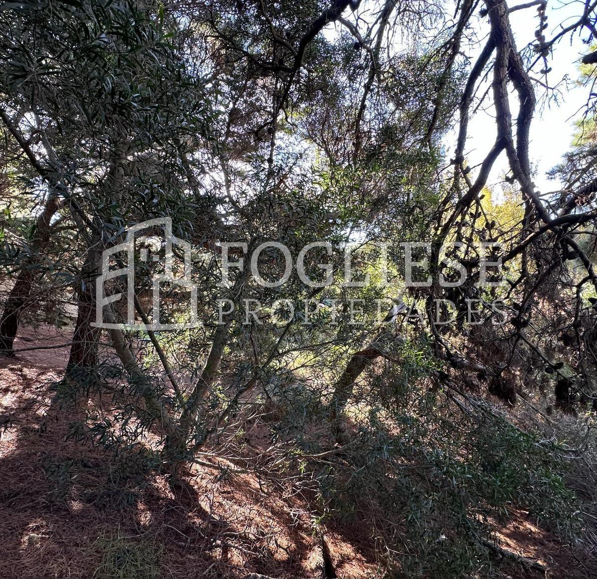 Lote en Venta Mar de Las Pampas de 450 m² 3