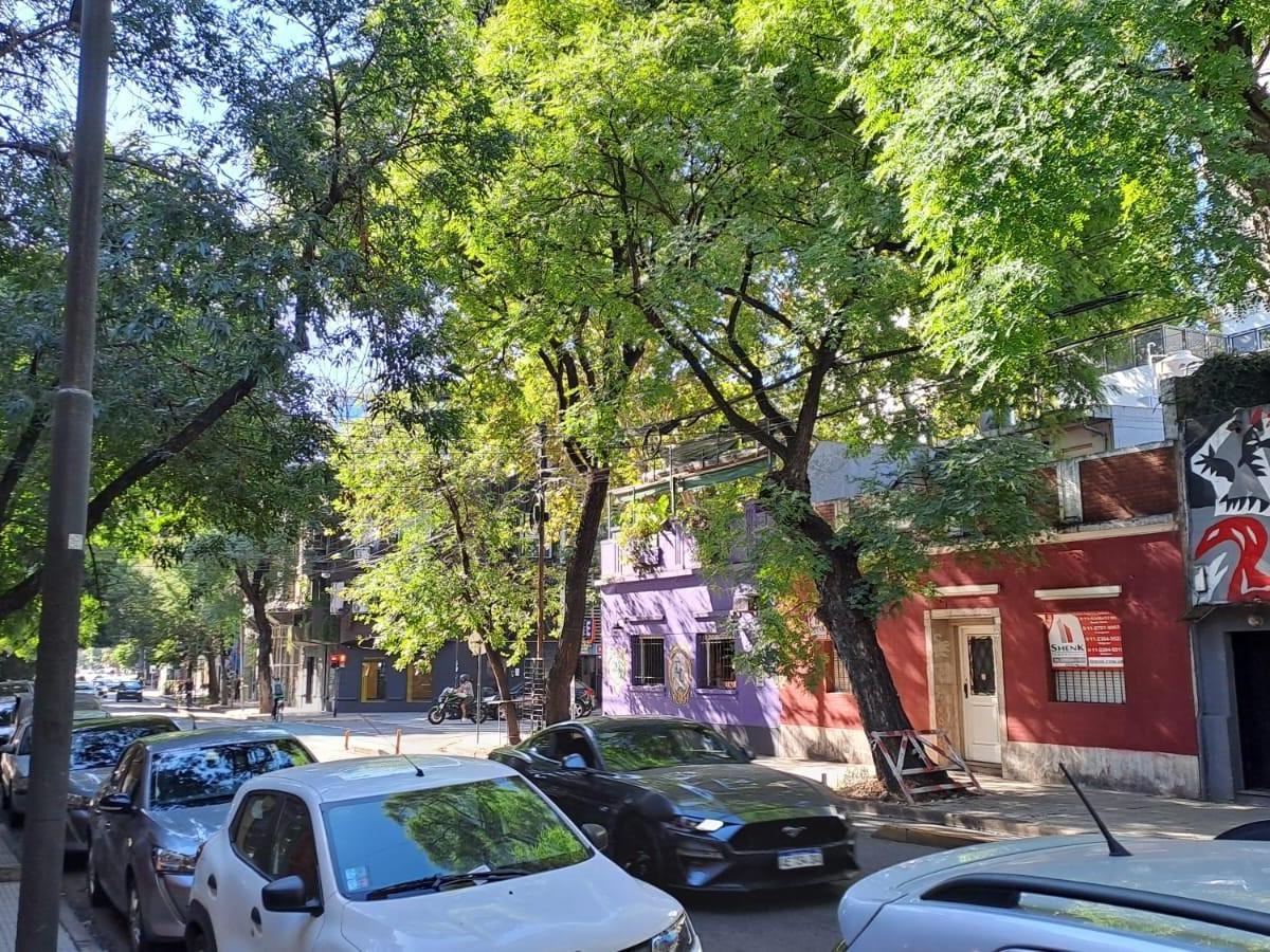 Casa - Palermo 3