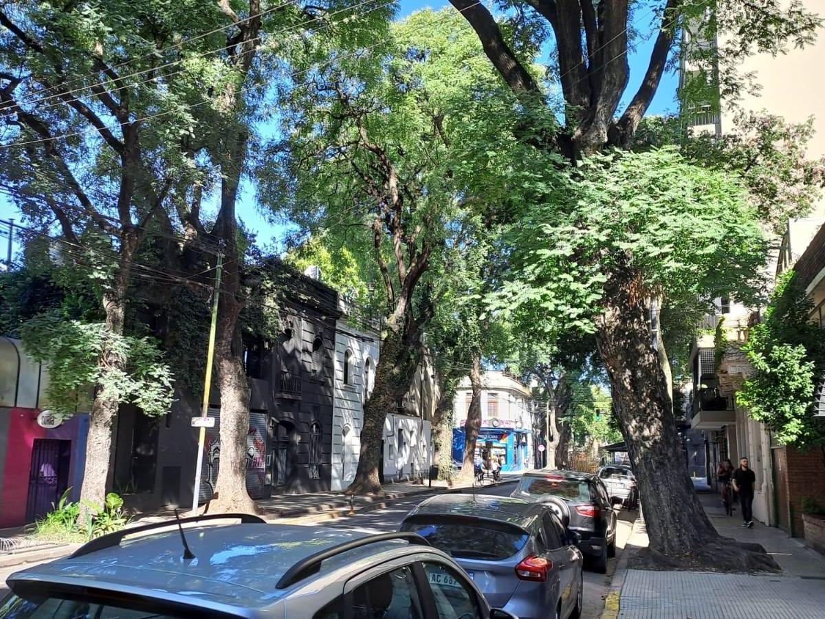Casa - Palermo 2