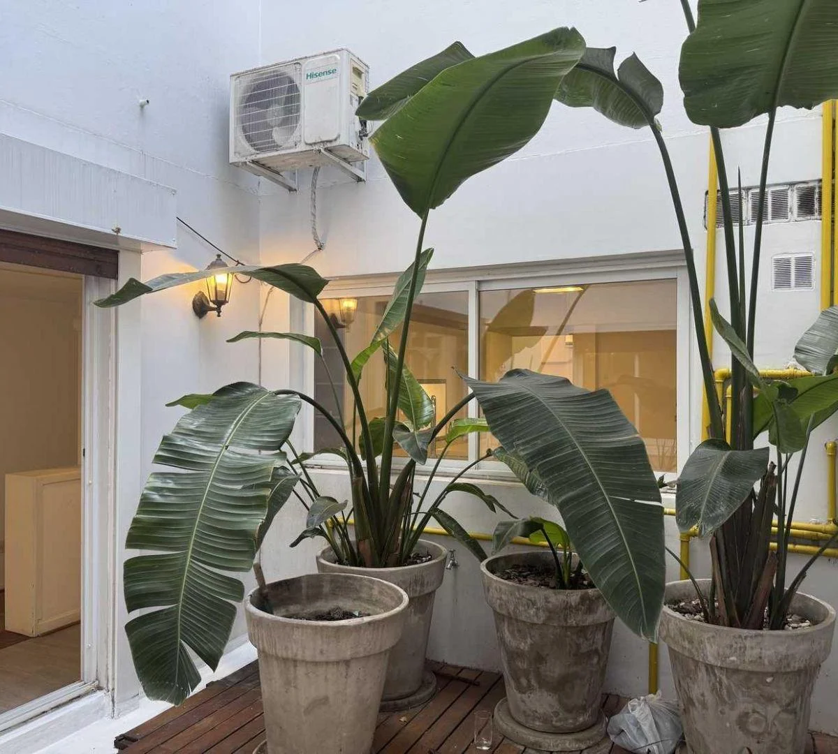 Oppel | Departamento en Venta | Belgrano R Capital Federal 5