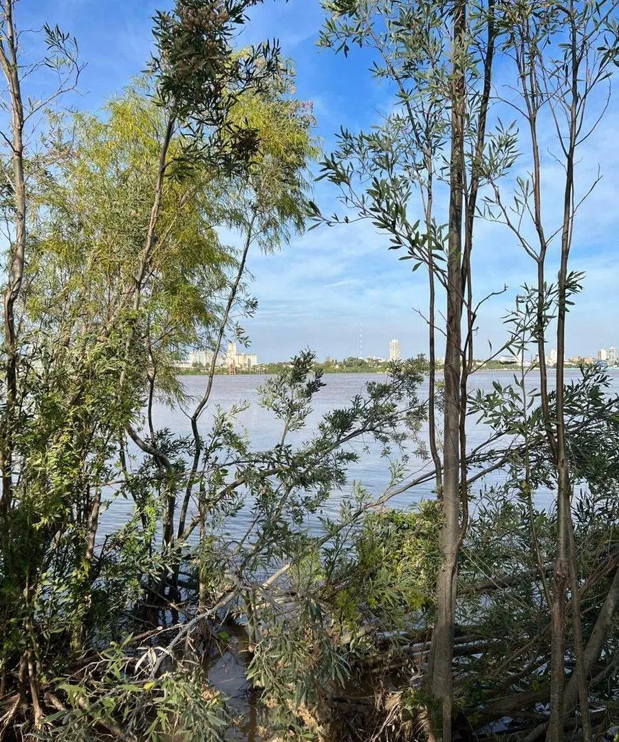 TERRENO EN VENTA SOBRE COSTA RIO PARANA 5