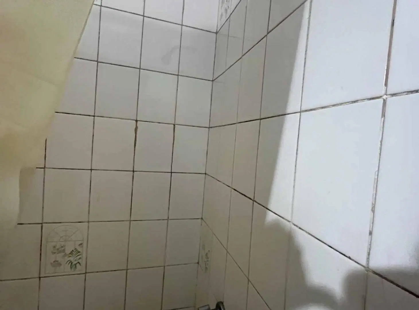 CASA EN VENTA 4 DORMITORIOS BARRIO JORGE CURA 2
