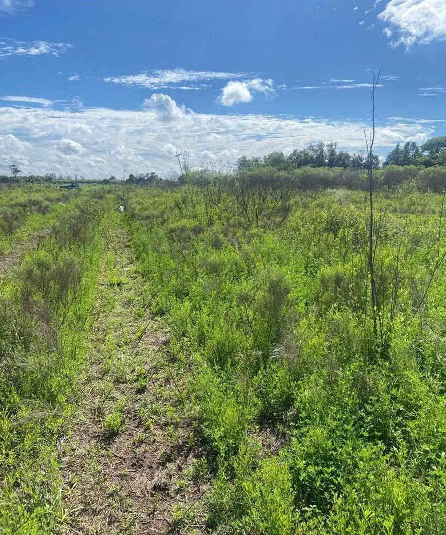 VENTA CAMPO O TERRENO EN PEREZ 5