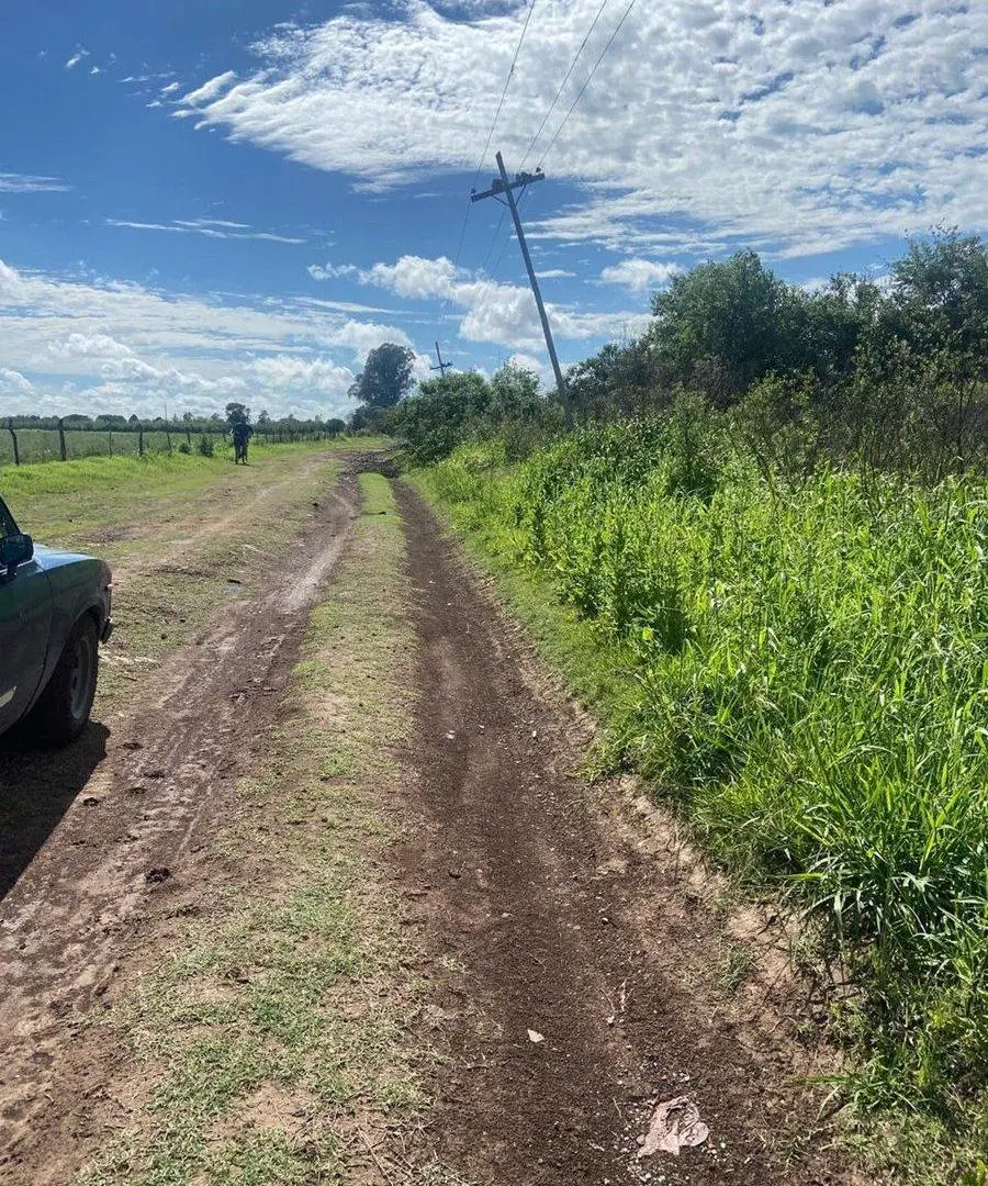 VENTA CAMPO O TERRENO EN PEREZ 4