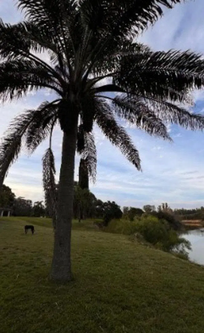 TERRENO CON CASA A TERMINAR  EN VENTA EN CARCARAES 8