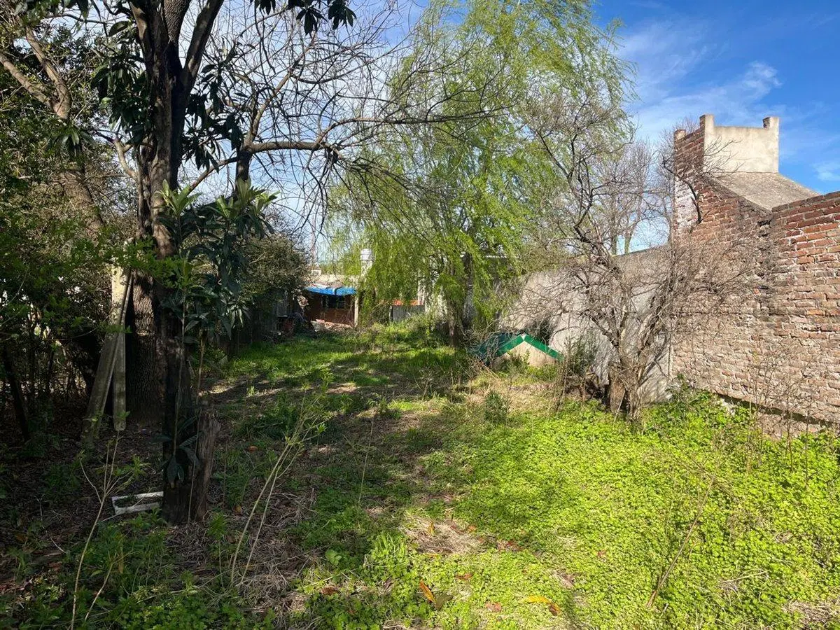 TERRENO CORREA, SANTA FE - EXCELENTE UBICACIÓN 2