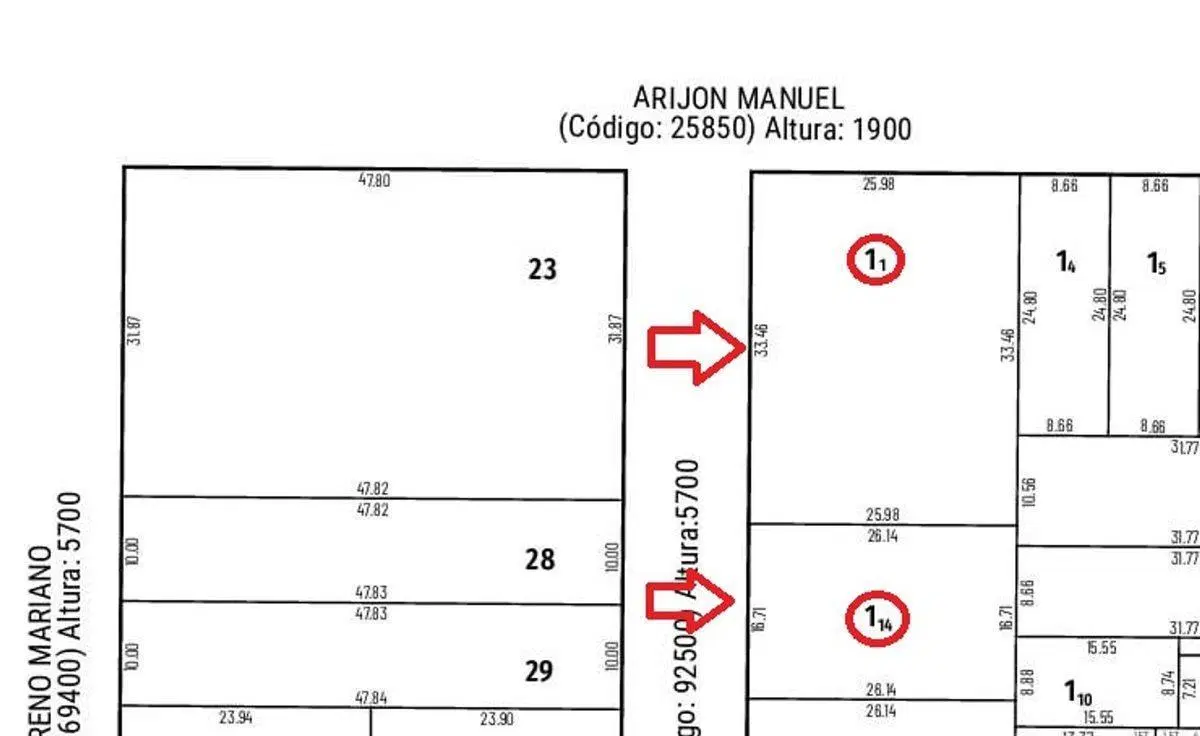 Plano 1