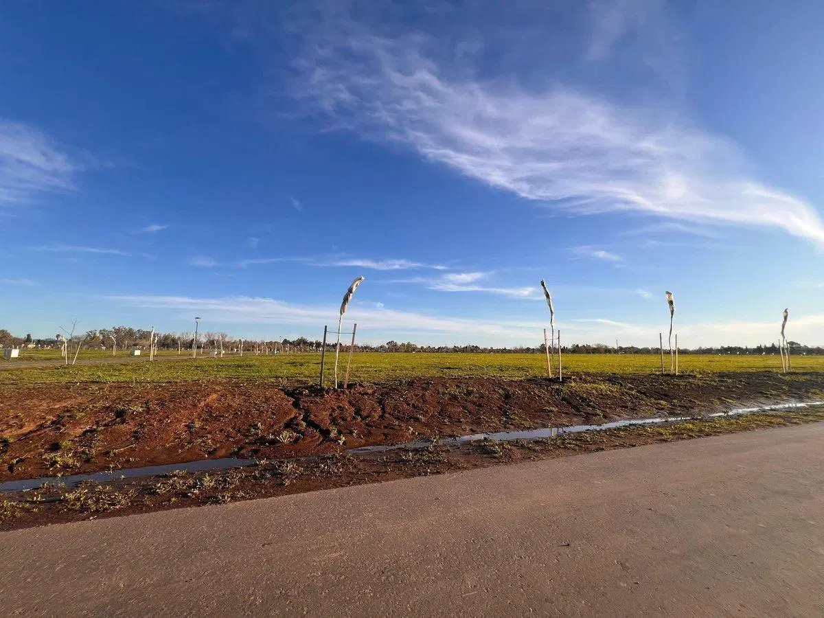 LOTE EN VENTA VIDA LAGOON, FRENTE A LA LAGUNA 3