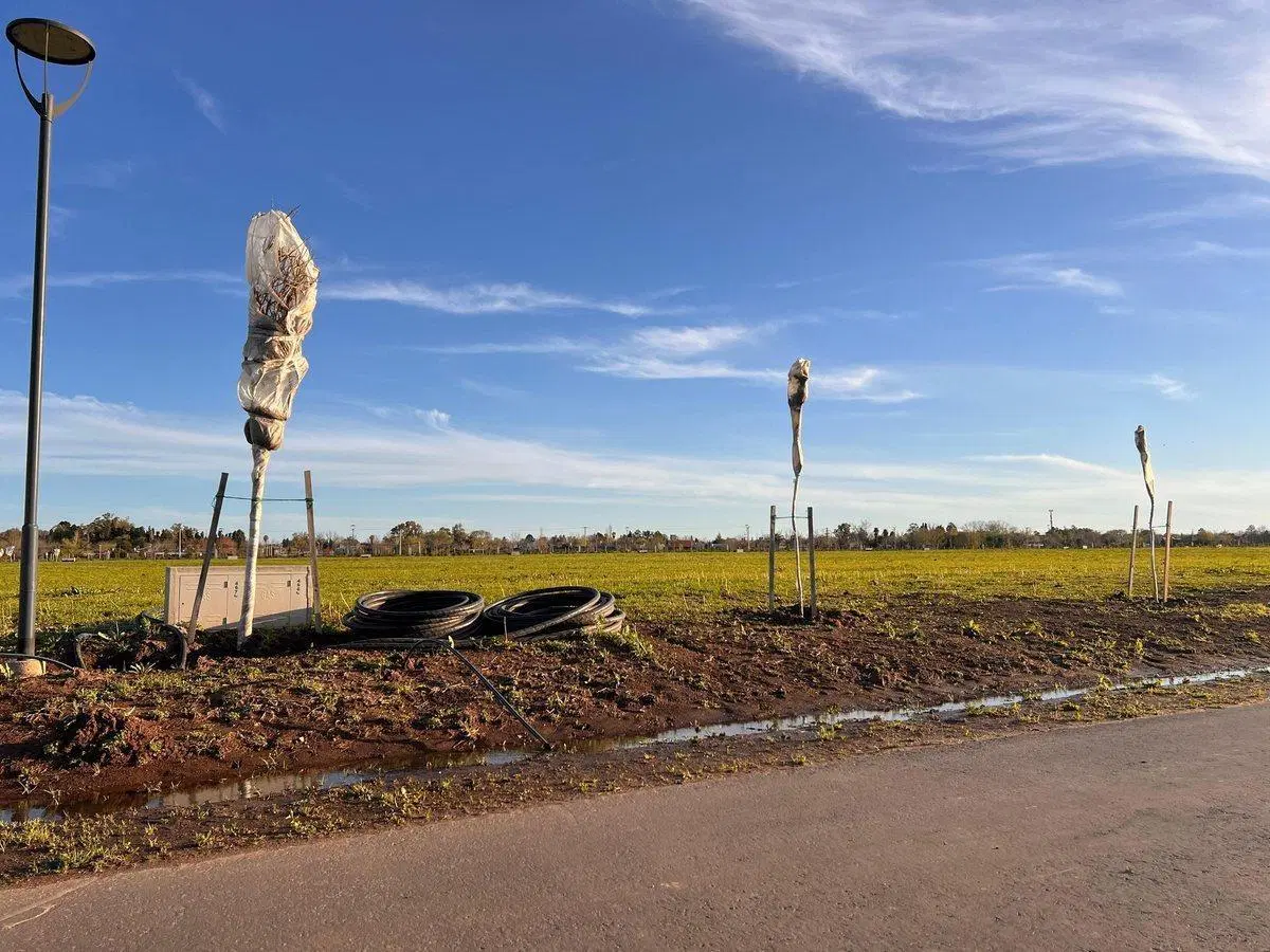 LOTE EN VENTA VIDA LAGOON, FRENTE A LA LAGUNA 5
