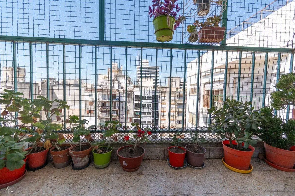 Venta departamento 4 dormitorios Centro 5