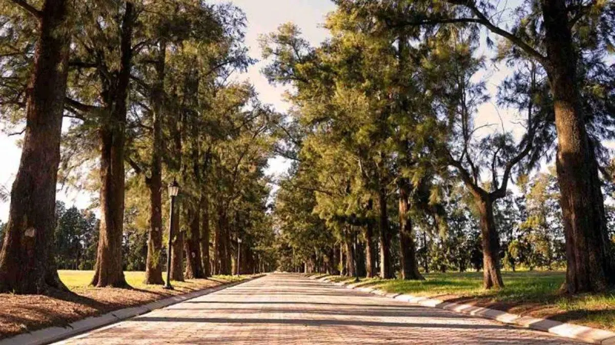 VENTA LOTE AZAHARES DEL PARANA 3