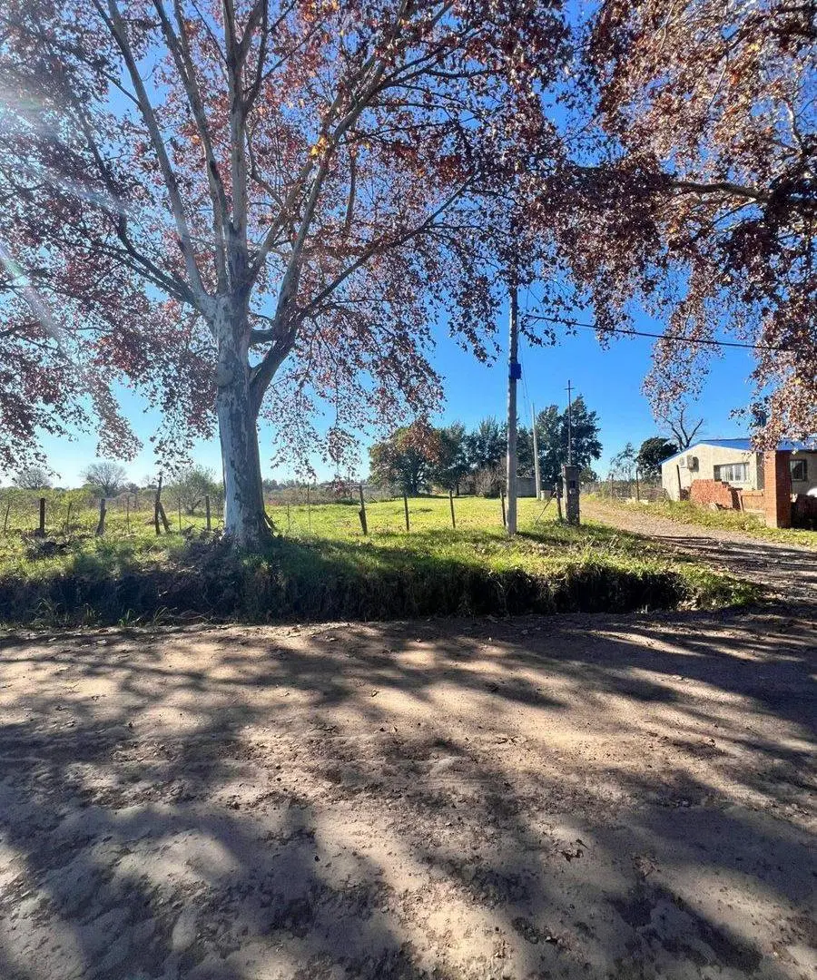 LOTE EN VENTA ZONA NORTE DE ROSARIO 5,2 HECTAREAS 4