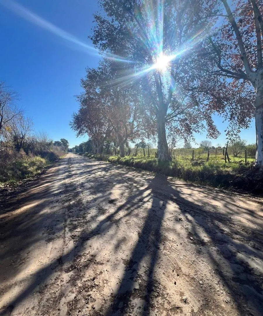 LOTE EN VENTA ZONA NORTE DE ROSARIO 5,2 HECTAREAS 3