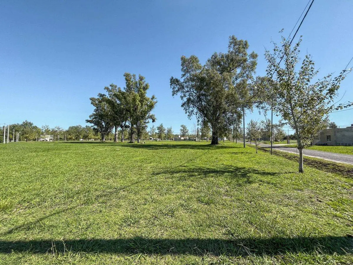 LOTE EN VENTA EN PINARES DEL SUR (PIÑERO) 5