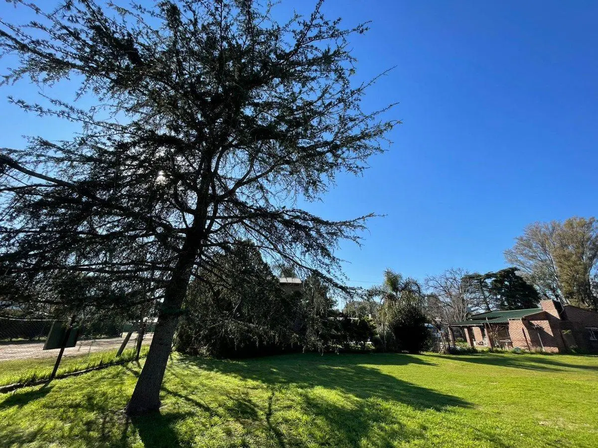 Venta casa en Oliveros con gran terreno 5