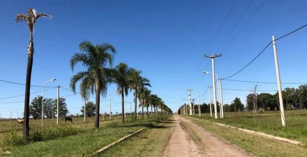 VENTA LOTE EN TIERRA DE SUEÑOS CASILDA 4