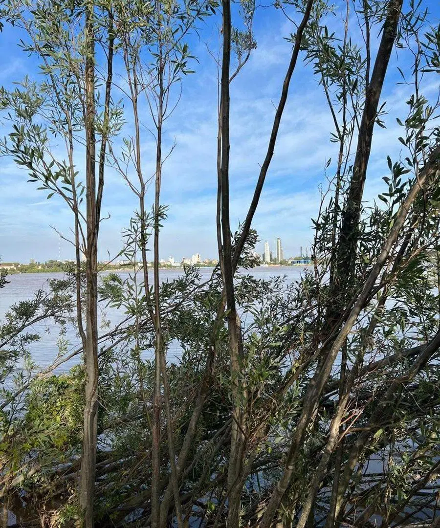 TERRENO EN VENTA SOBRE COSTA RIO PARANA 5