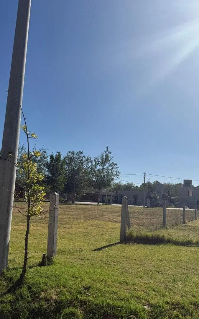 VENTA LOTE PINARES DEL SUR. Lote N°380 4