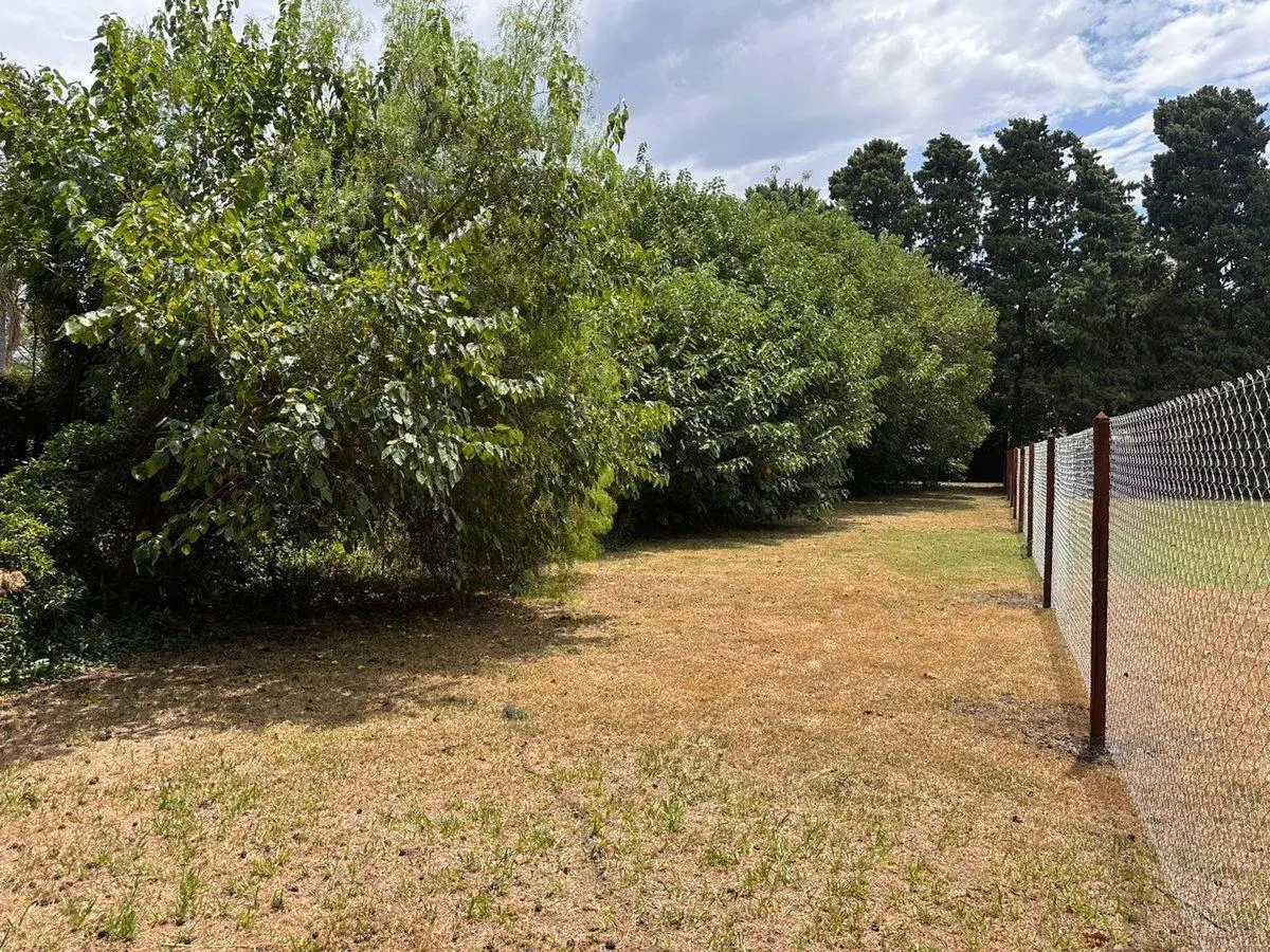 VENTA TERRENO ALVEAR 5