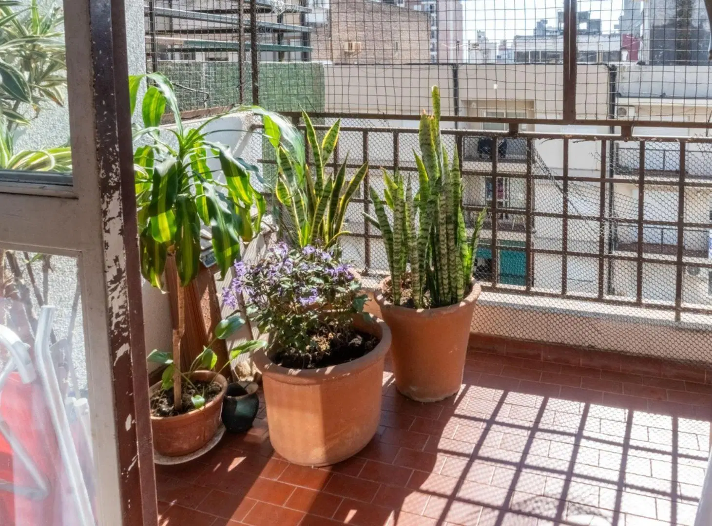 DEPARTAMENTO EN VENTA 3 DORMITORIOS ZONA CENTRO 2