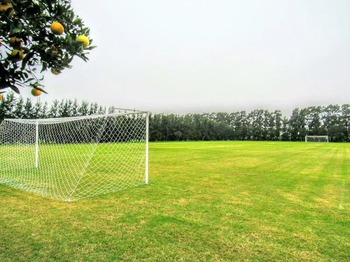 VENTA - LOTE 1000 M2 AZHARES DEL PARANA, FIGHERA 8