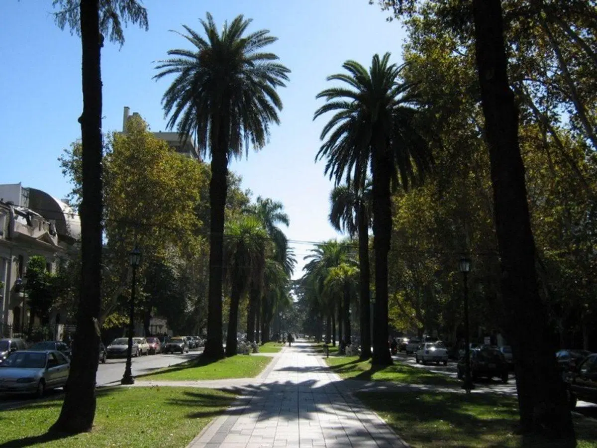 OFICINAS EN VENTA ZONA CENTRO 4