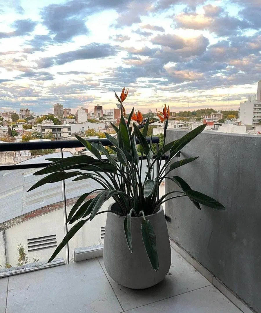 VENTA MONOAMBIENTE BARRIO ABASTO 4