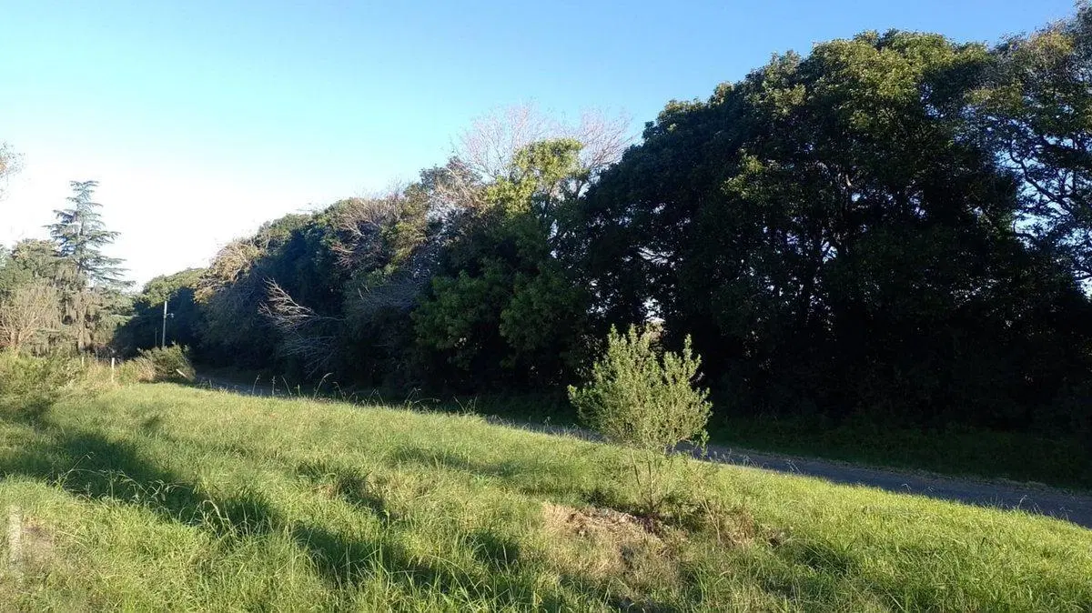 TERRENO PLAYA MANSA ARROYO SECO OPORTUNIDAD 6
