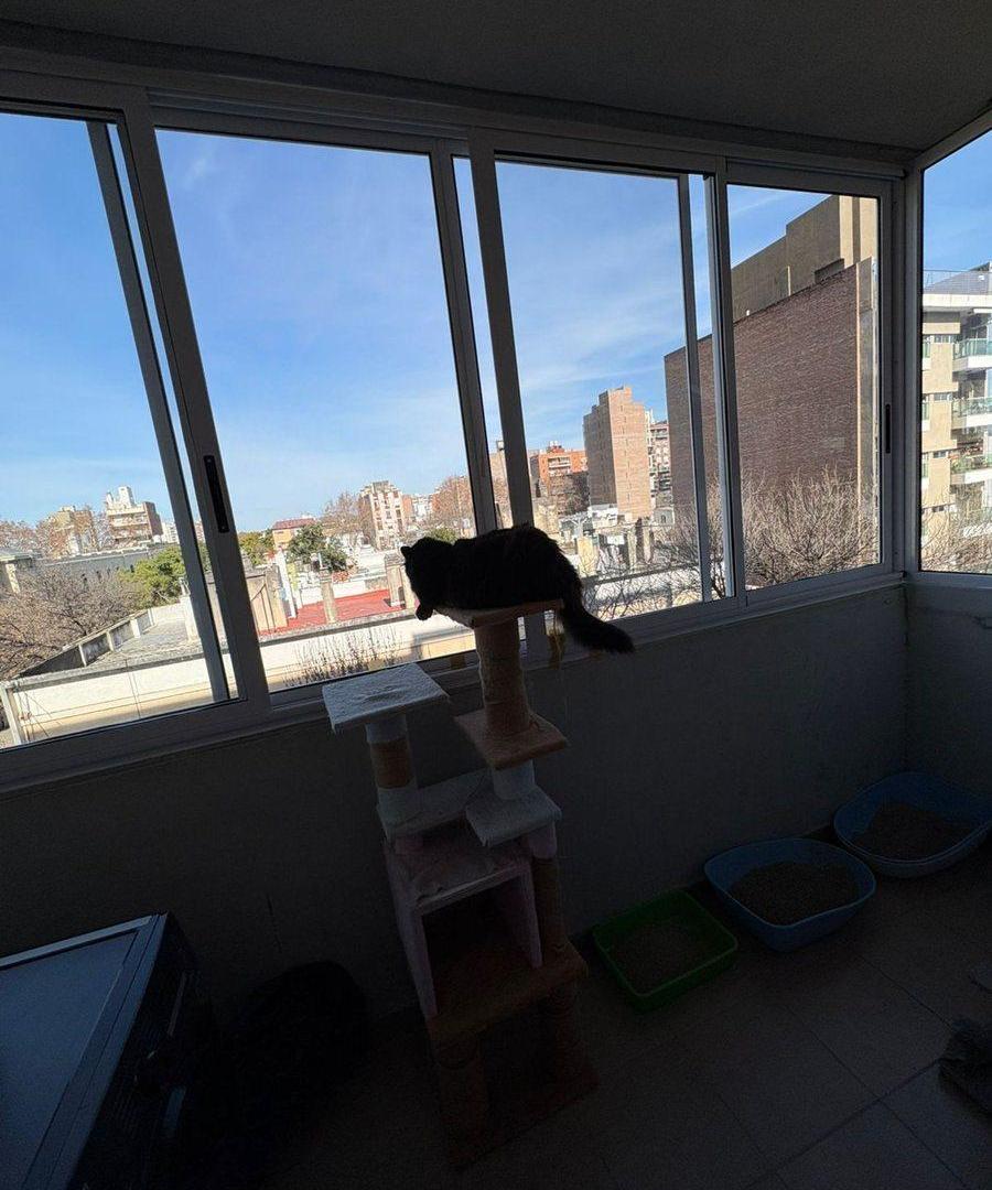 Foto de VENTA MONOAMBIENTE CON BALCON AL FRENTE EN ABASTO, imagen 2