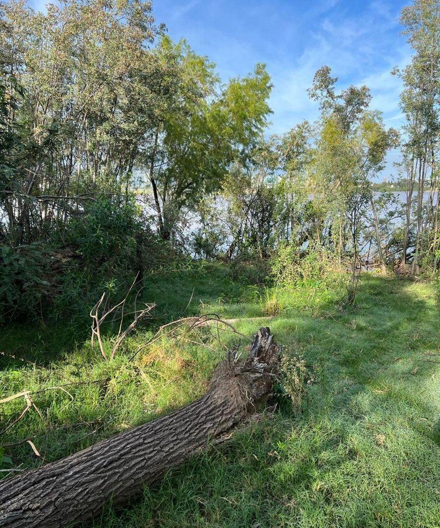 Foto de TERRENO EN VENTA SOBRE COSTA RIO PARANA, imagen 4
